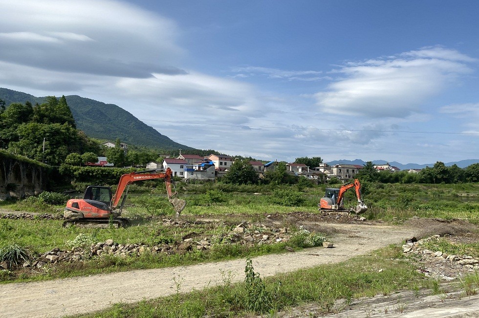 旌德县三溪镇：重拳出击 清理河道非法种植.jpg