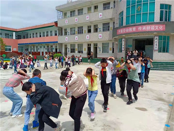 新桥中心小学.jpg