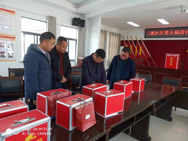 王沧浪到三溪镇调研督导村（居）委会换届工作.jpg