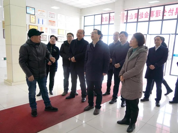 旌德四大班子领导调研经开区及重点企业开工复产3.jpg