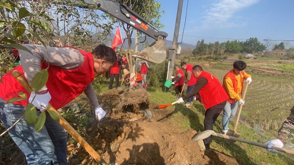 旌德县三溪镇：志愿“红”植出幸福“绿”2.jpg