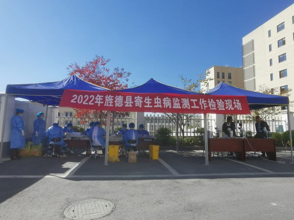 10.25旌德县疾控中心开展2022年寄生虫病调查监测现场工作 (2).jpg